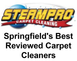 springfields best carpet cleaners